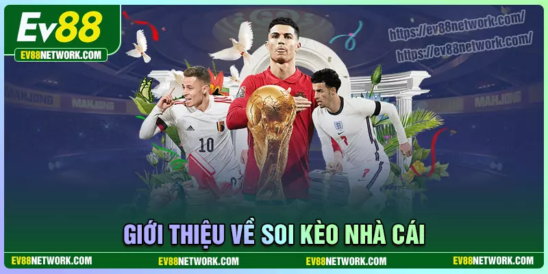 Soi kèo nhà cái - Tỷ lệ kèo trực tuyến hôm nay chính xác Những điều cần biết về soi kèo nhà cái