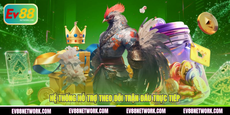 Hệ thống hỗ trợ theo dõi trận đấu trực tiếp 